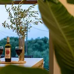 Theoni House Villa *