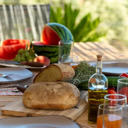 فيلة Theoni House *