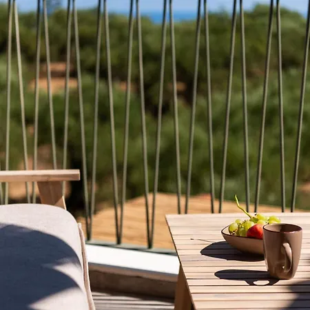 فيلة Theoni House *