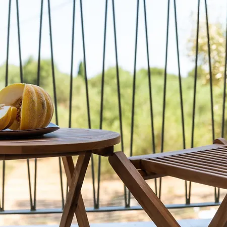 فيلة Theoni House